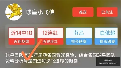 最佳第六人遭遇禁赛两年：2026赛季提前报销，职业前景堪忧